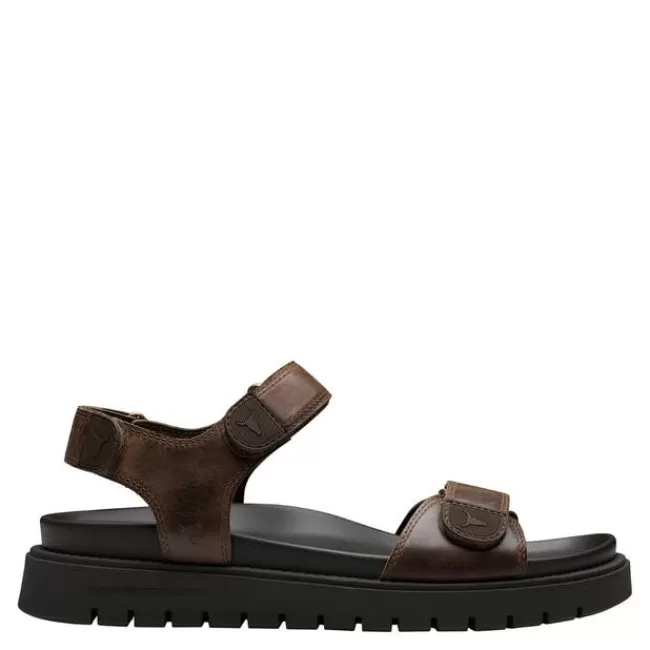 Windsor Smith Sandals*RAMSEY DARK BROWN LEATHER SANDALS